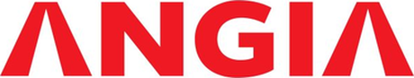 Logo An Gia Investment